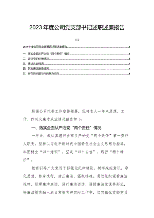 2023年度公司党支部书记述职述廉报告.docx