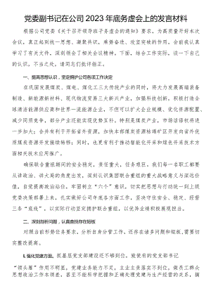 党委副书记在公司2023年底务虚会上的发言材料.docx