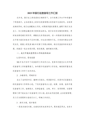 2023年银行巡查督导工作汇报.docx