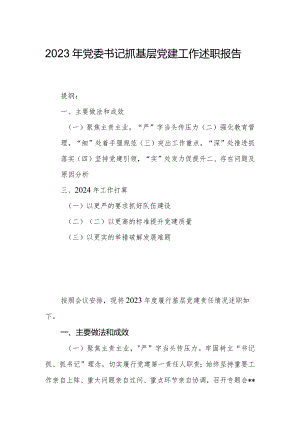 2023年党委书记抓基层党建工作述职报告 .docx