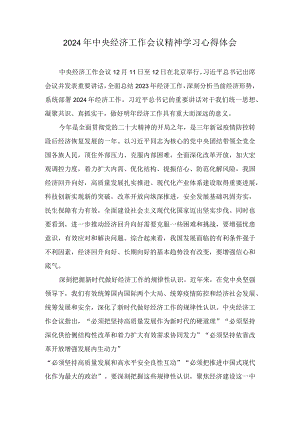 2024年中央经济工作会议精神学习心得体会多篇汇编.docx