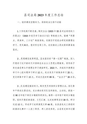 县司法局2023年度工作总结.docx
