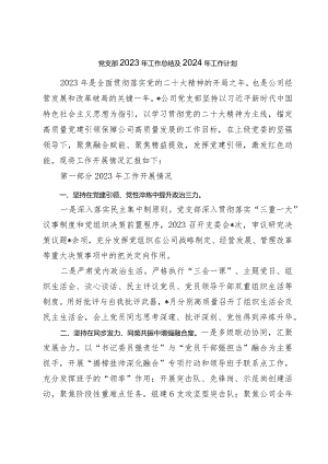 2篇公司党支部2023年工作总结及2024年工作计划（党建总结）.docx