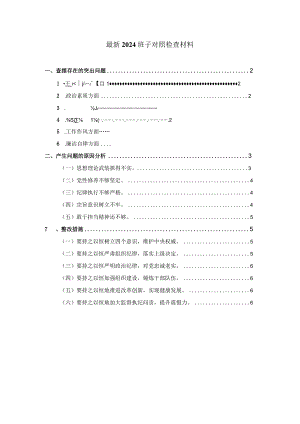 2024班子对照检查材料01.docx