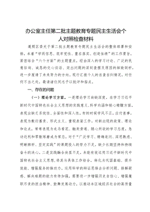 办公室主任第二批主题教育专题民主生活会个人对照检查材料.docx