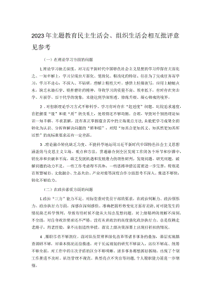 2023年主题教育民主生活会.docx