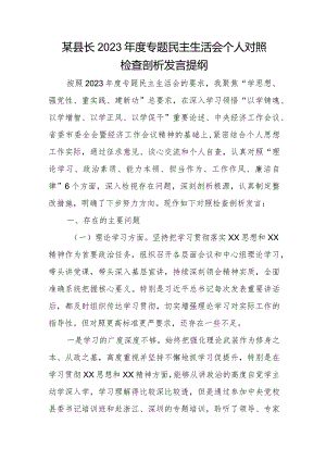 某县长2023年度专题民主生活会个人对照检查剖析发言提纲.docx