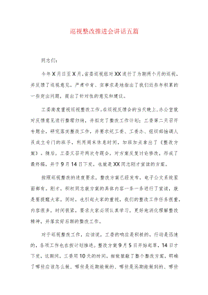 巡视整改推进会讲话五篇.docx