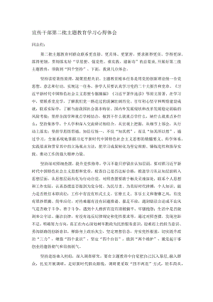宣传干部第二批主题教育学习心得体会.docx