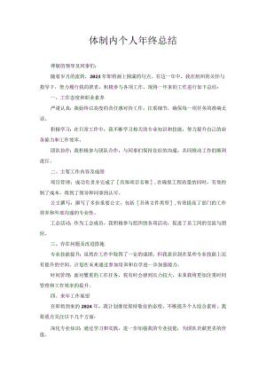体制内个人年终总结.docx