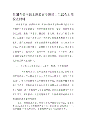 集团党委书记主题教育专题民主生活会对照检查材料.docx