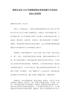 国有企业在2023年度国资国企系统党建工作总结交流会上的发言.docx