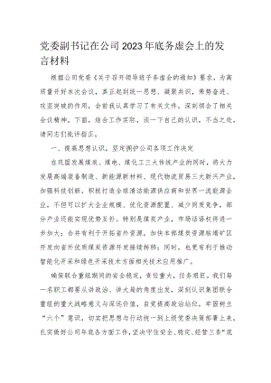 党委副书记在公司2023年底务虚会上的发言材料.docx