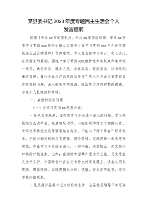 某县委书记2023年度专题民主生活会个人发言提纲.docx