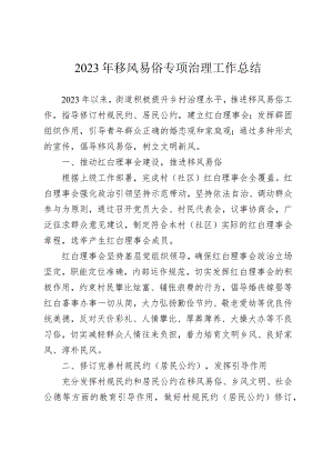 2023年移风易俗专项治理工作总结.docx