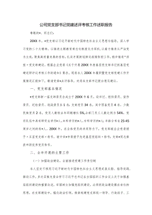 公司党支部书记党建述评考核工作述职报告.docx