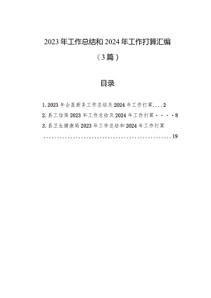 2023年工作总结和2024年工作打算汇编（3篇）.docx