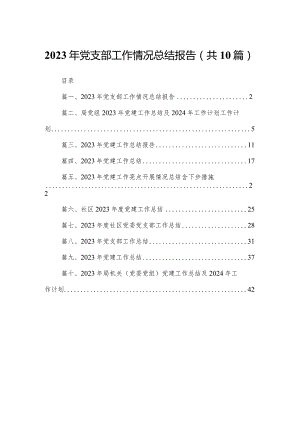 2023年党支部工作情况总结报告10篇供参考.docx