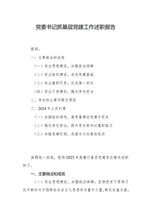 2023年党委书记抓基层党建工作述职报告.docx