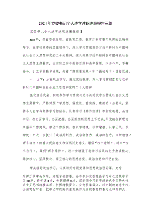 2024年党委书记个人述学述职述廉报告三篇.docx