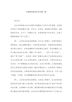 巡视整改推进会讲话稿三篇.docx