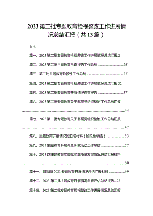第二批专题教育检视整改工作进展情况总结汇报最新版13篇合辑.docx