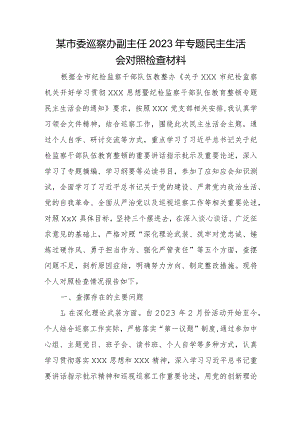 某市委巡察办副主任2023年专题民主生活会对照检查材料.docx