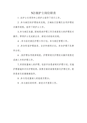 N2 级护士岗位职责.docx