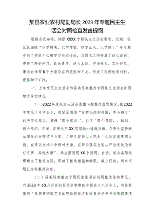 某县农业农村局副局长2023年专题民主生活会对照检查发言提纲.docx