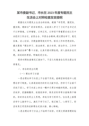 某市委副书记、市长在2023年度专题民主生活会上对照检查发言提纲.docx