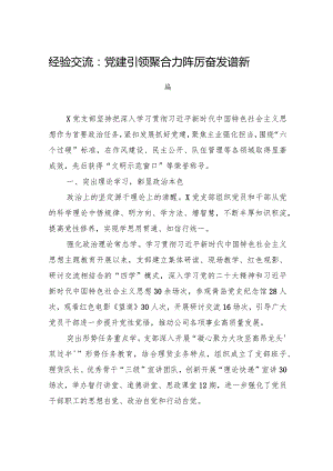 经验交流：党建引领聚合力+踔厉奋发谱新篇.docx