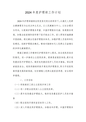 XX医院护理部2024年工作计划.docx