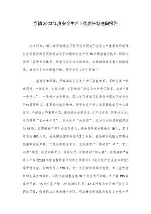 乡镇2023年度安全生产工作责任制述职报告.docx
