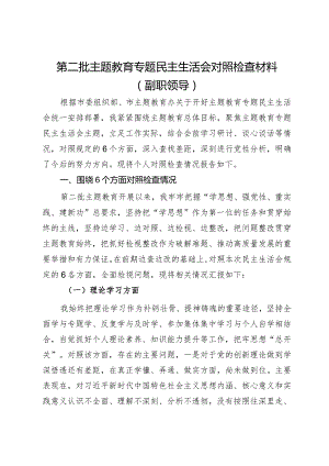 第二批主题教育专题民主生活会对照检查材料（副职领导）.docx