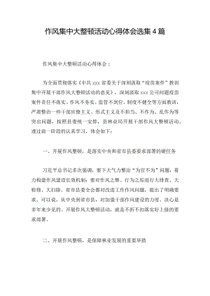 作风集中大整顿活动心得体会选集4篇.docx