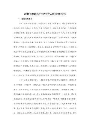 2023年专题民主生活会个人检视剖析材料.docx