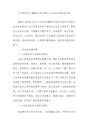 公司领导班子2023年度专题民主生活会对照检查材料.docx