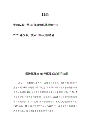 2023年改革开放45周年心得体会2篇.docx