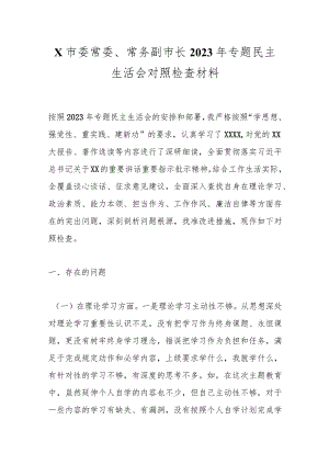 X市委常委、常务副市长2023年专题民主生活会对照检查材料.docx