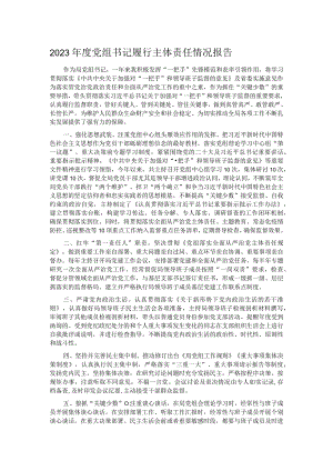 2023年度党组书记履行主体责任情况报告.docx