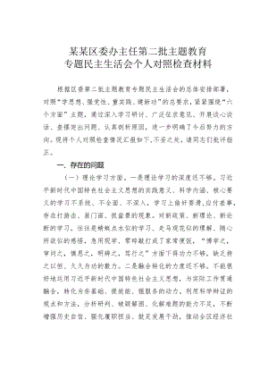 某某区委办主任第二批主题教育专题民主生活会个人对照检查材料.docx
