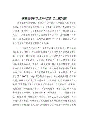 在主题教育典型案例剖析会上的发言.docx
