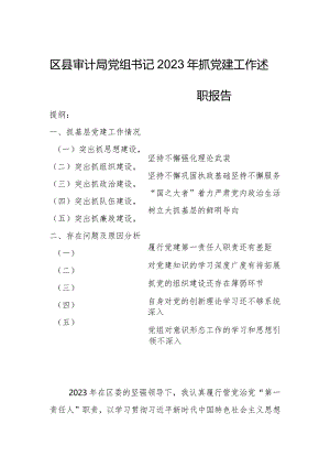 区县审计局党组书记2023年抓党建工作述职报告.docx