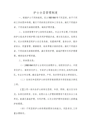 护士分层管理制度.docx