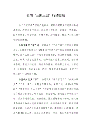 公司“三抓三促”行动总结.docx