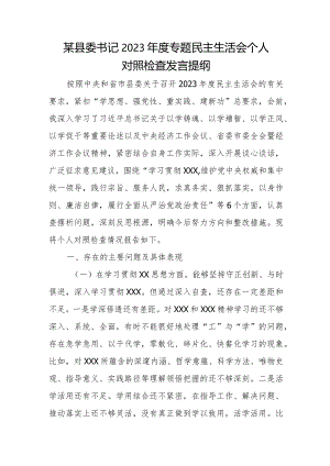某县委书记2023年度专题民主生活会个人对照检查发言提纲.docx