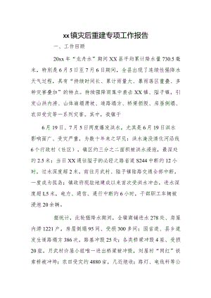 xx镇灾后重建专项工作报告.docx