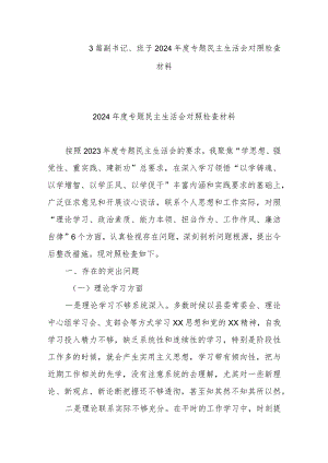 3篇副书记、班子2024年度专题民主生活会对照检查材料.docx