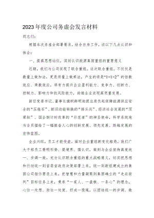 2023年度公司务虚会发言材料.docx