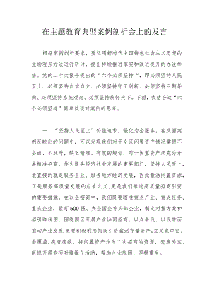 在主题教育典型案例剖析会上的发言.docx